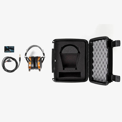 Headphone accessories and carrying case